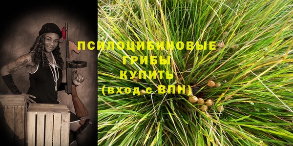 2c-b Алзамай
