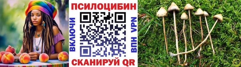 Псилоцибиновые грибы мицелий  купить наркотик  Камызяк 
