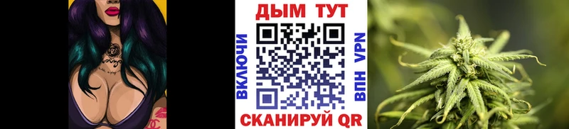купить  сайты  Камызяк  мега зеркало  Конопля Bruce Banner 